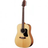 D-350/G gitara WALDEN