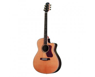 G-630 CE WESTERN GUITAR WALDEN