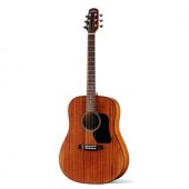 D-351 WESTERNOVÁ GITARA WALDEN