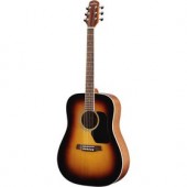 D-350SN westernová gitara WALDEN