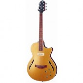 SAT-M GD W/HC-SA SP GUITAR CRAFTER